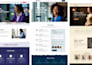 build or rebuild an awesome wordpress website that is fast and professional